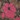 Crotchless Floral Lace Thong With Bows by Rene Rofe, Black, swatch
