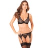Lux Lace 3-Piece Garter Set by Rene Rofe, , large