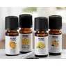 NOW Essential Oil Aromatherapy Blend Sets, , large